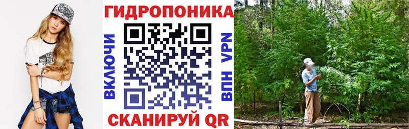 магазин продажи наркотиков Кстово Бошки Шишки Bruce Banner